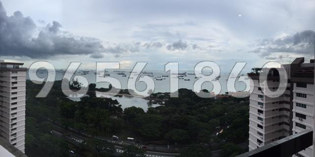 Laguna Park thumbnail photo